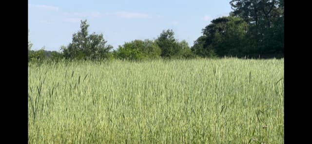 브리즈문 경량캠핑의자 후기 게시글 썸네일