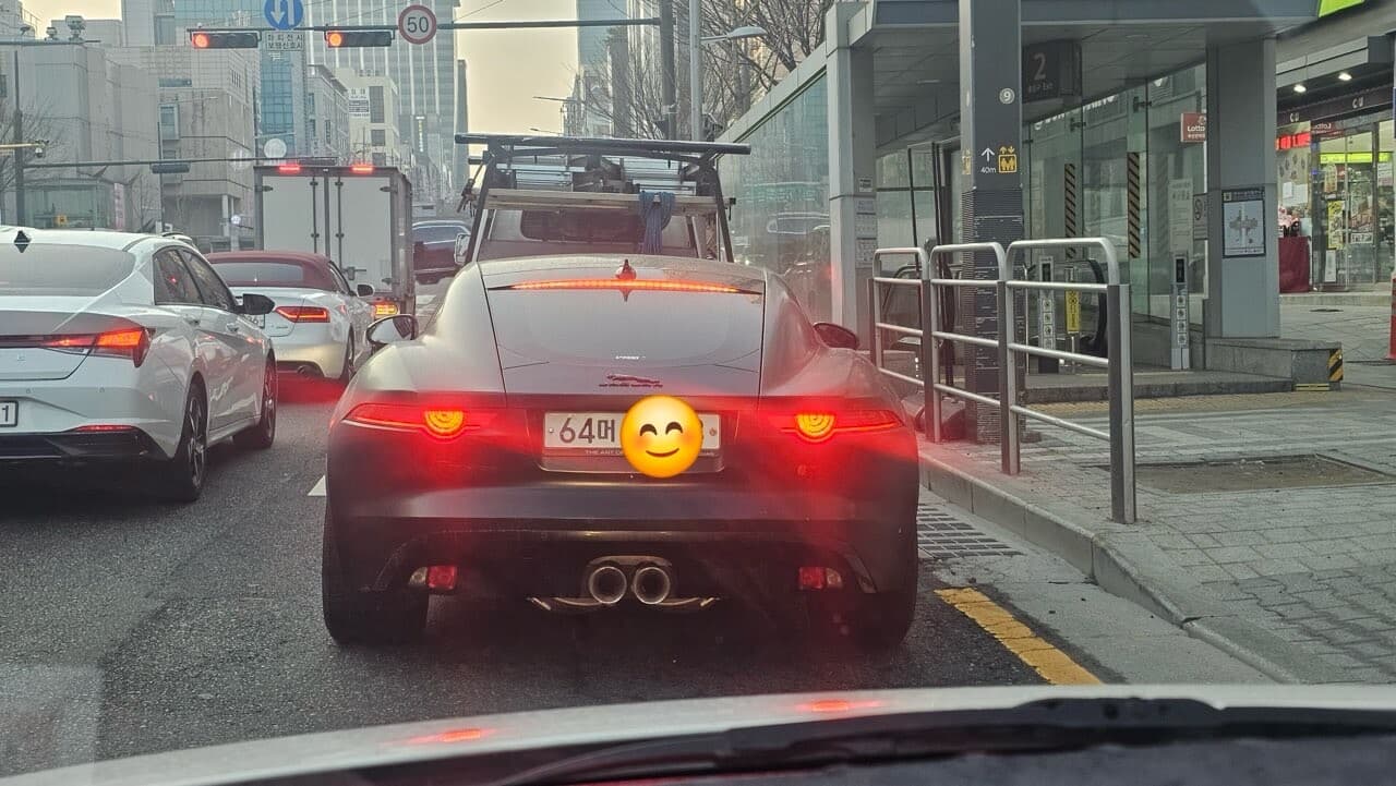 오늘은 이른시간부터 뒷태가 참 새끈하네요 게시글 썸네일