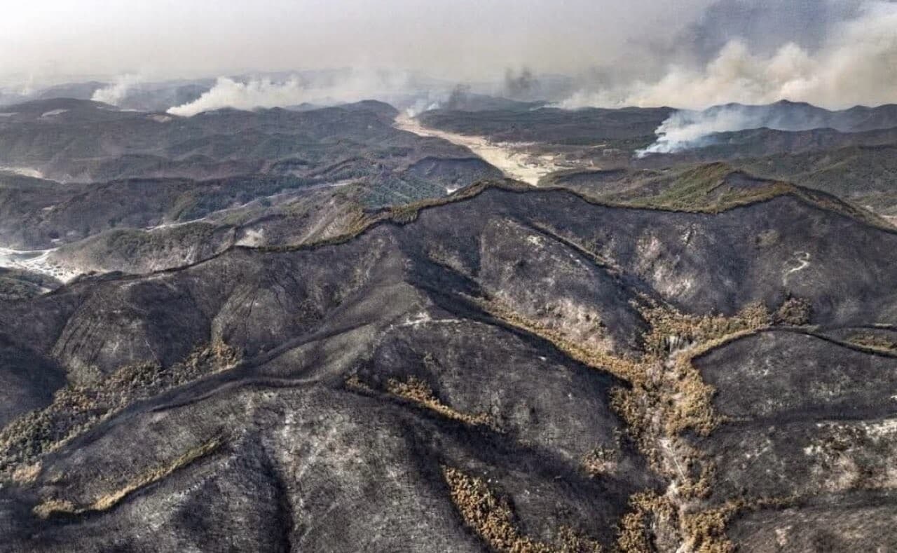 화재 진압한 경북쪽 산맥이라는데..  게시글 썸네일