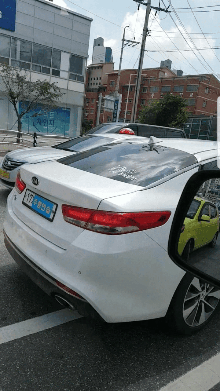 보법이 다른 원조 과학 근황.jpg 게시글 썸네일