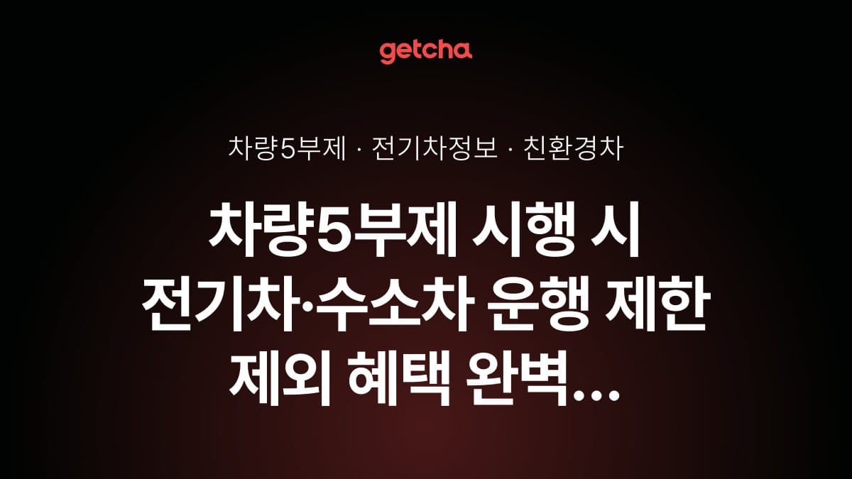 차량5부제 시행 시 전기차·수소차 운행 제한 제외 혜택 완벽 가이드