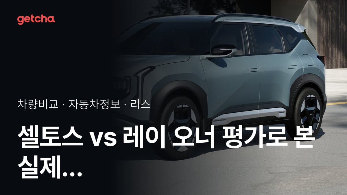 셀토스 vs 레이 오너 평가로 본 실제 장점과 단점 비교