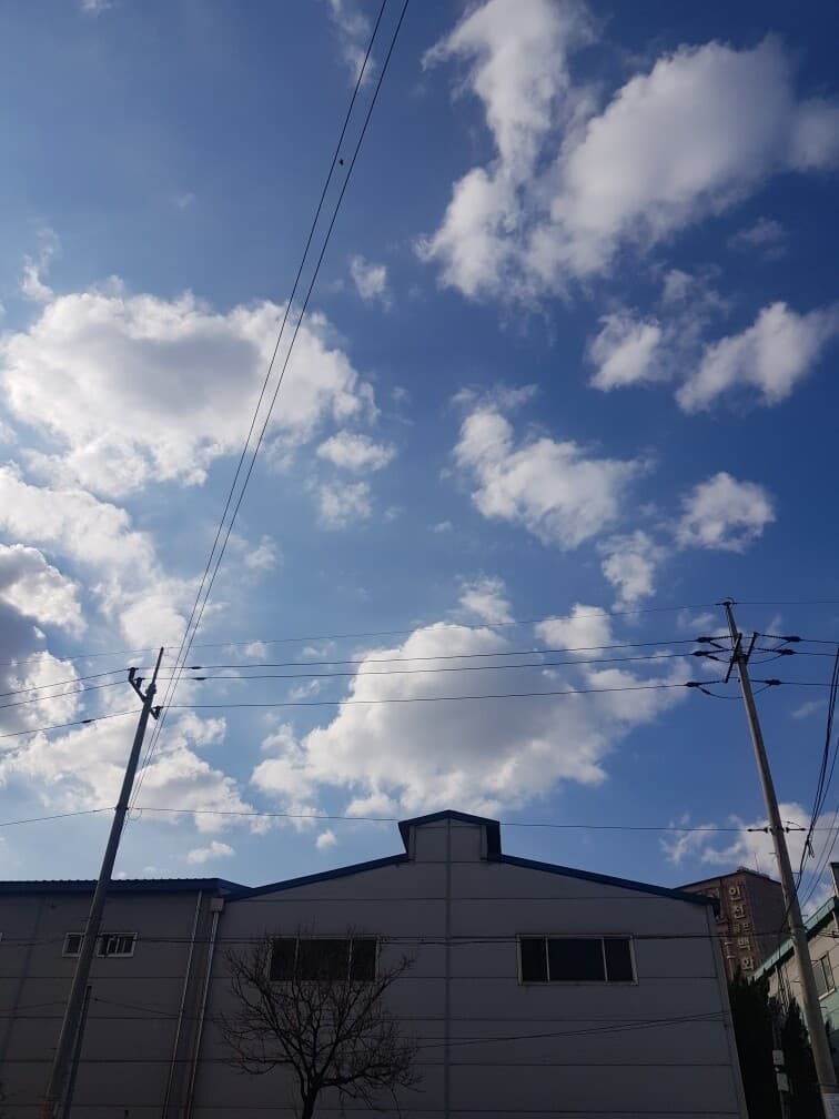 오늘은 경유차가 안돌아다니나보네요 게시글 썸네일