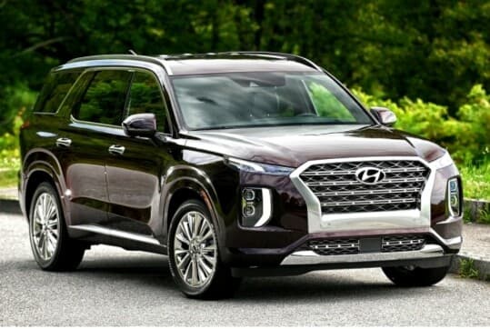 펠리세이드 2020. 캘리그래피 자세한 소식 게시글 썸네일