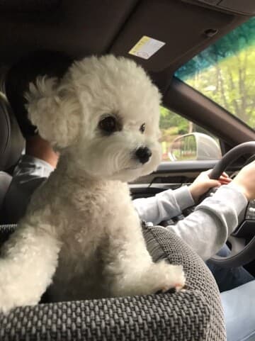 저는 자랑할 복근이 없는 관계로... 게시글 썸네일