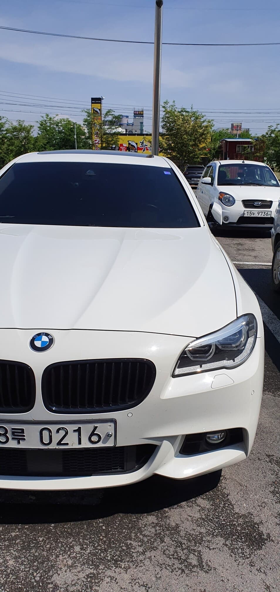 비만 맞아도 깨끗해졌네요 게시글 썸네일