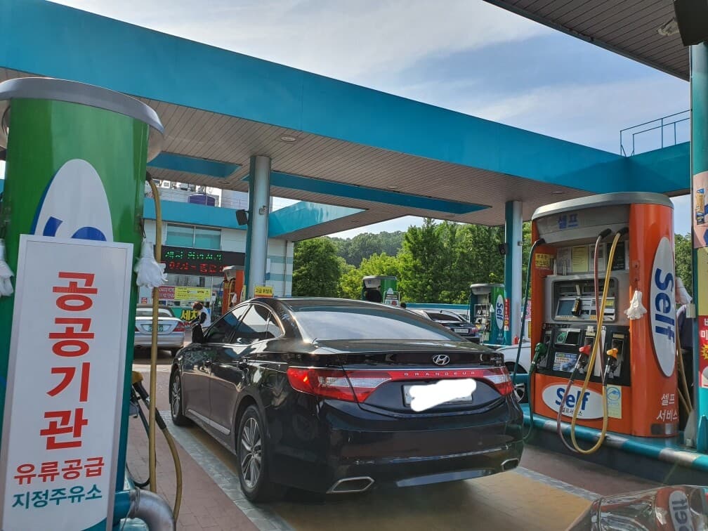 드디어 길들이기가 끝났습니다! 게시글 썸네일