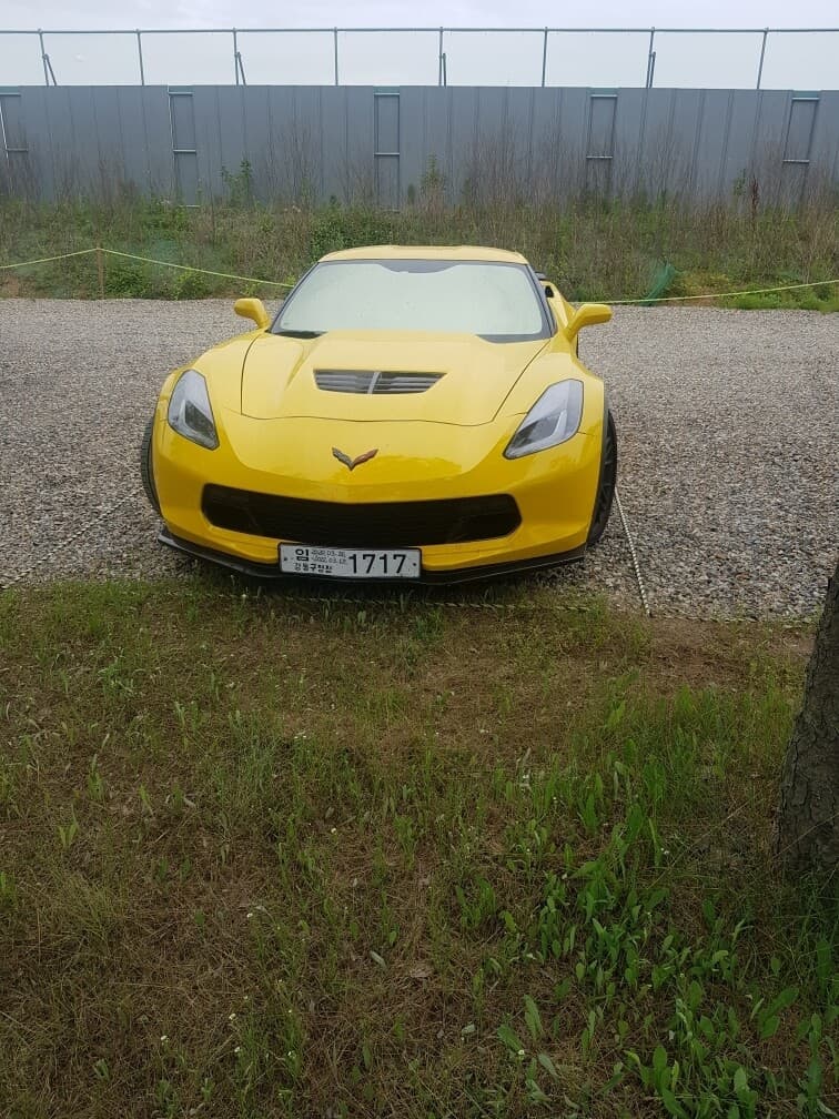 스팅레이 실물 게시글 썸네일