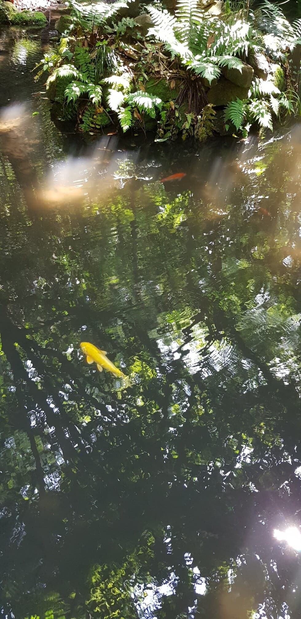 글을 남발하는 거 같지만 게시글 썸네일