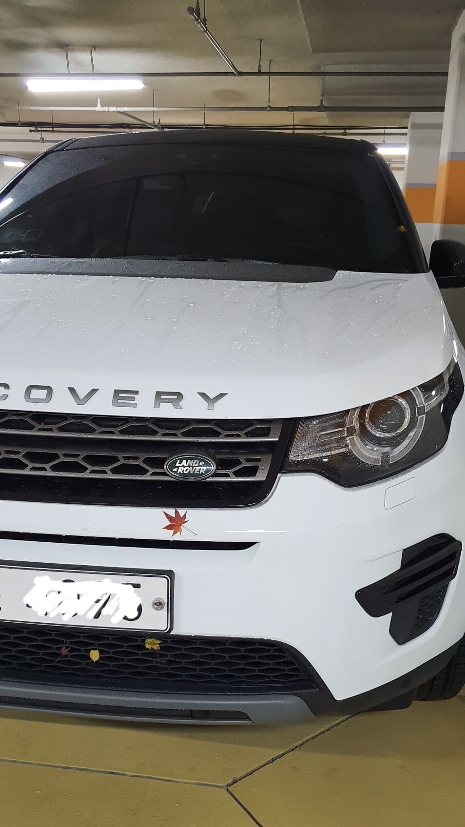 랜드로버 디스커버리 스포츠 D150 S 게시글 썸네일