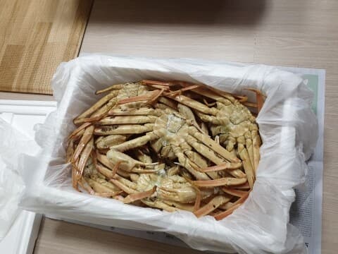 전쟁 전후 게시글 썸네일