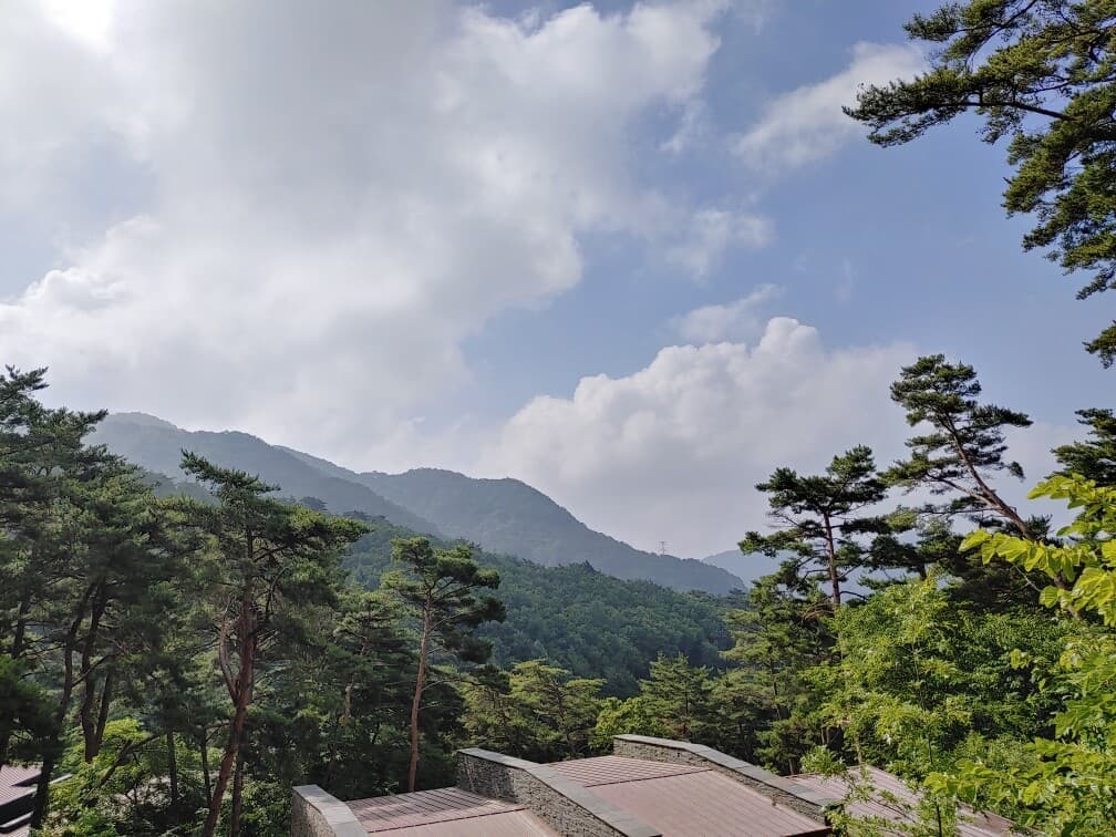 (비차량) 사진 몇 장 투척합니다~~^^ 게시글 썸네일