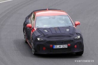 스팅어 페리 소식 게시글 썸네일