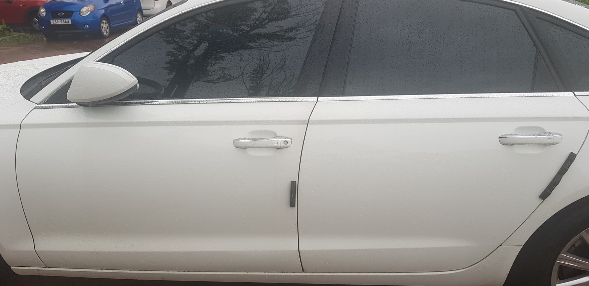 황변 게시글 썸네일