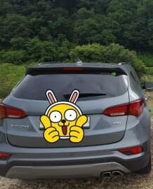 현대 싼타페 2.2 디젤 프리미엄 5인승 2WD 게시글 썸네일