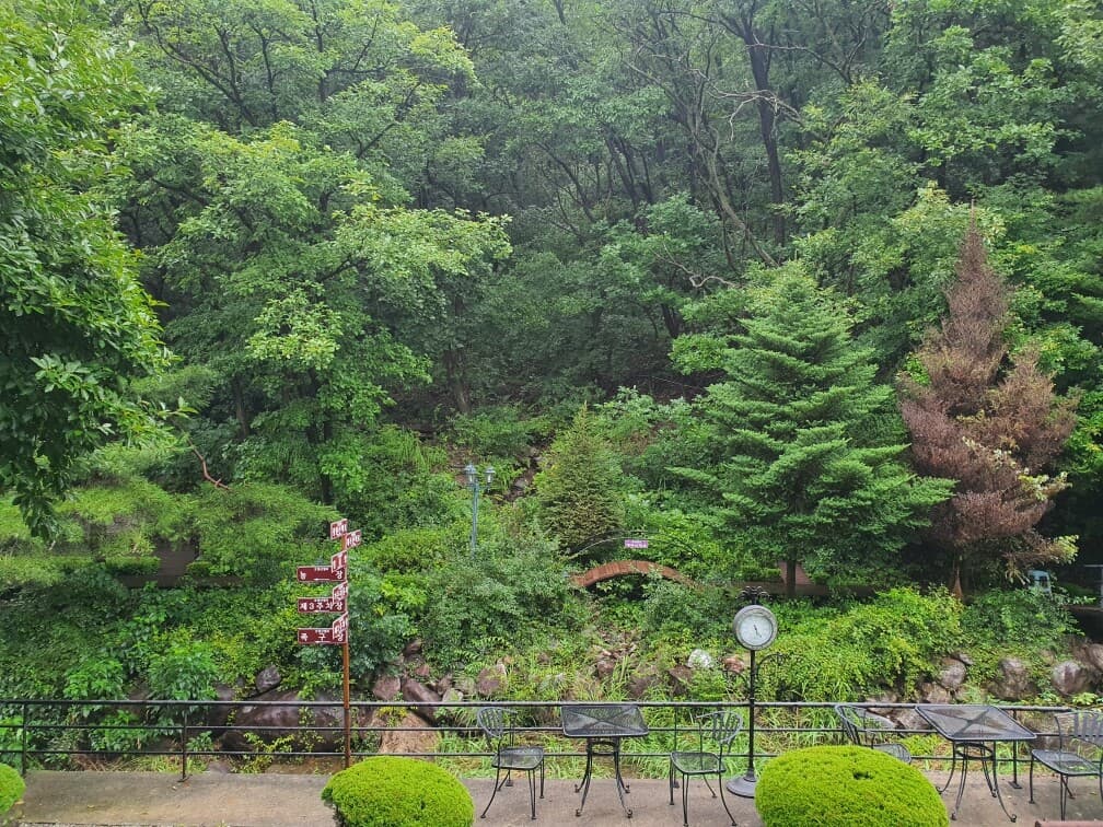 놀러왔습니다!! 게시글 썸네일