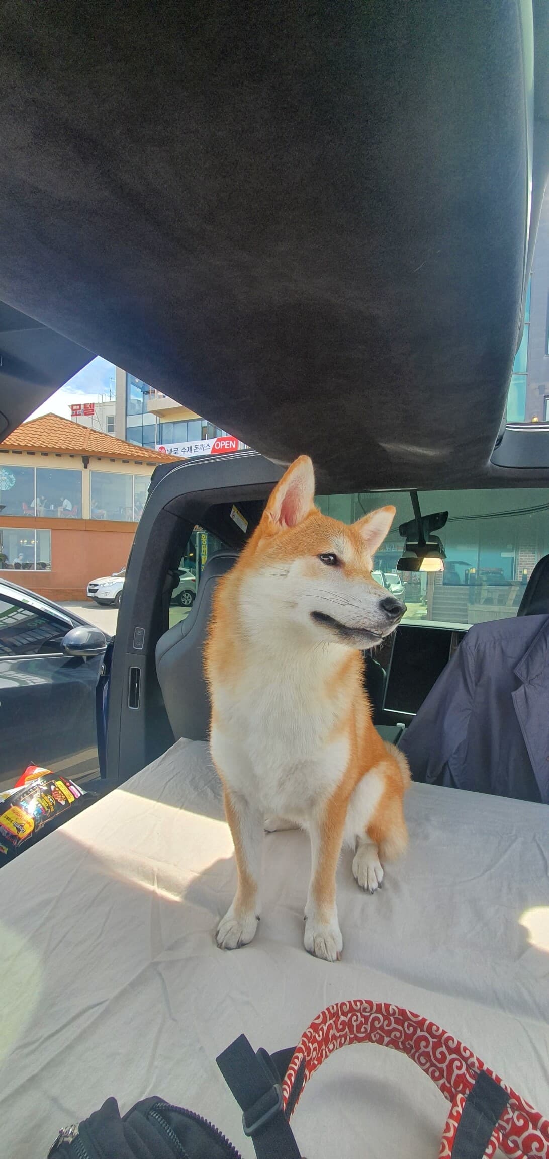 오너리뷰 테슬라는 없나요? 게시글 썸네일