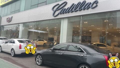 캐딜락 광주전시장 게시글 썸네일