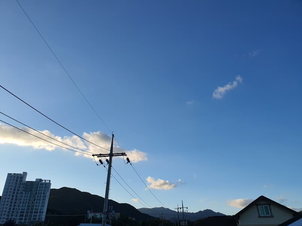 환경.안전 규제 기준 강화로 끝이 보이는 클래식카 게시글 썸네일