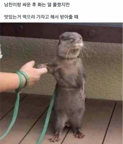 [펌] 삐진 여친 살짝 풀림.jpg 게시글 썸네일