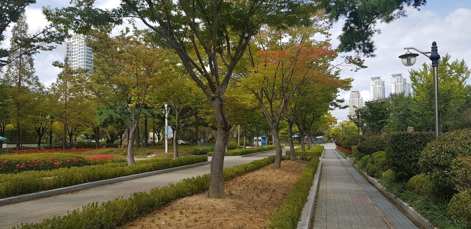 (비차량)산책 게시글 썸네일