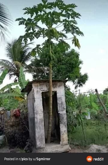 과일먹을때 씨는 빼고 먹어야 하는 이유 게시글 썸네일
