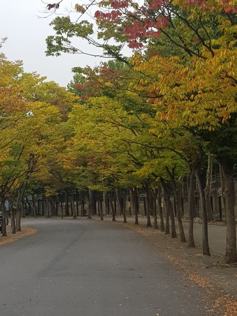 (비차량) 가족 나들이 - 서울 대공원 게시글 썸네일
