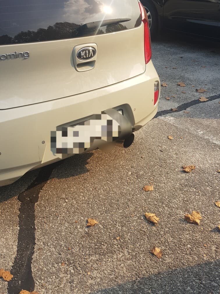 풀배기 했습니다... 게시글 썸네일