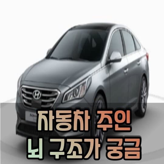 [유머] 차주 뇌구조가 궁금. 게시글 썸네일
