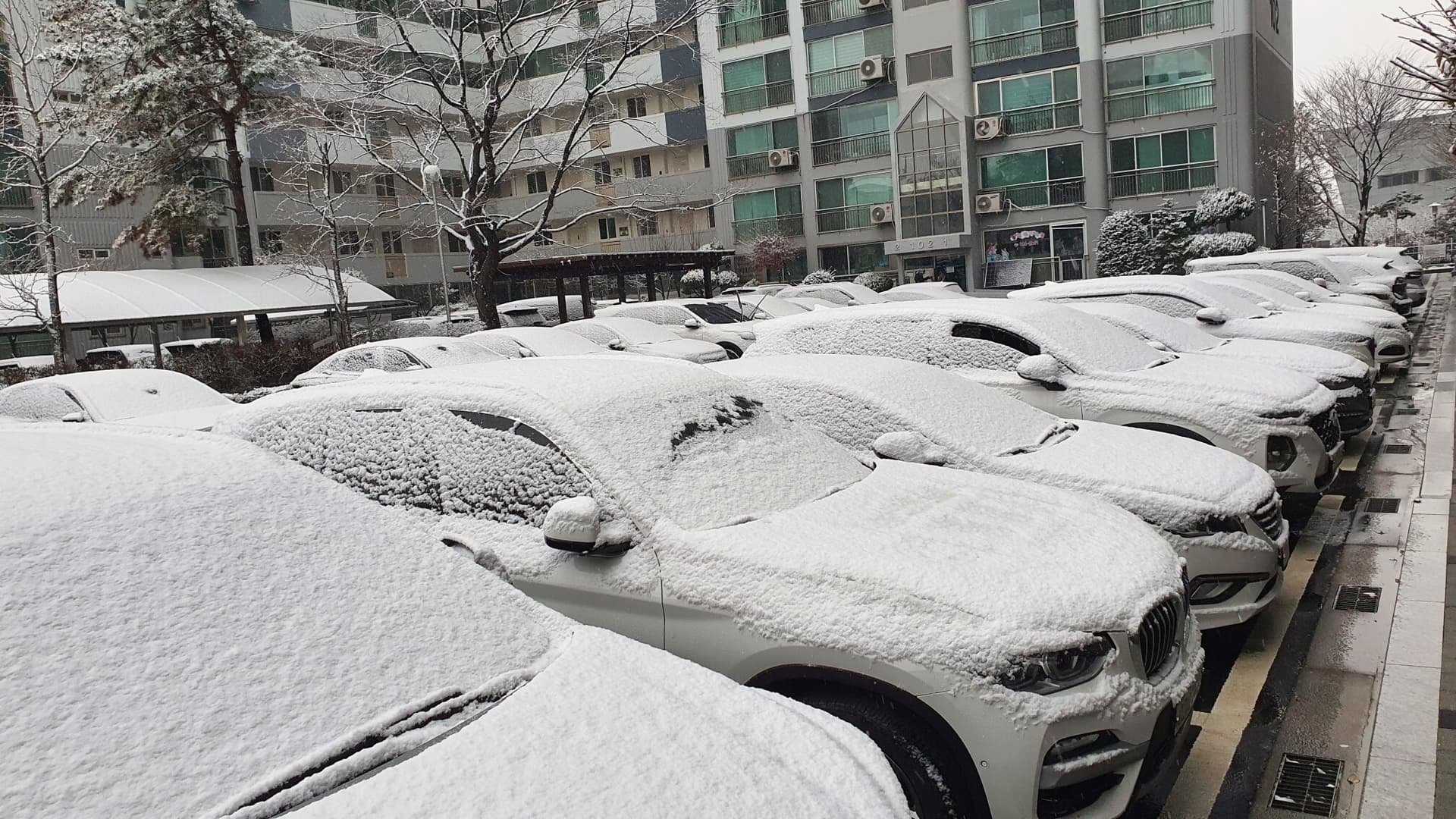 지금 올해의 첫 눈꽃을 바라보며~?? 게시글 썸네일