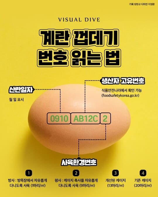 계란 껍데기 번호 읽는법 게시글 썸네일