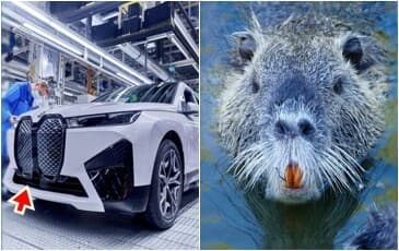 뉴트리아라 놀림당한 BMW iX의 실내에 대해 게시글 썸네일