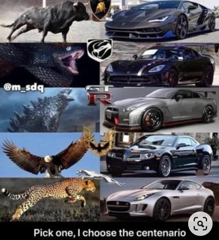 ????자동차 엠블럼에 동물이 많은이유? 게시글 썸네일