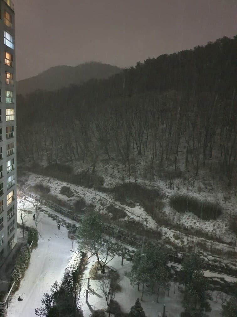 와~~눈많이 오네요..! 게시글 썸네일