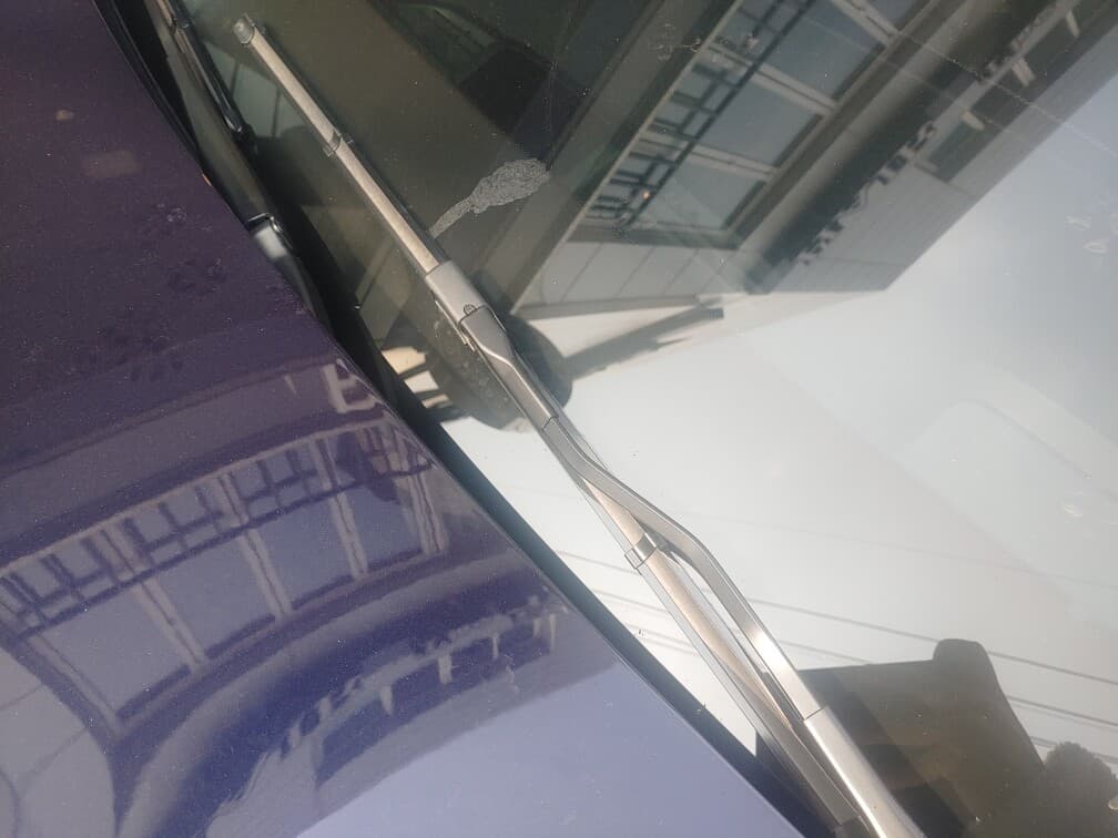 비차량)  고양이 테러 어떻게들 대처하시나요?? 게시글 썸네일