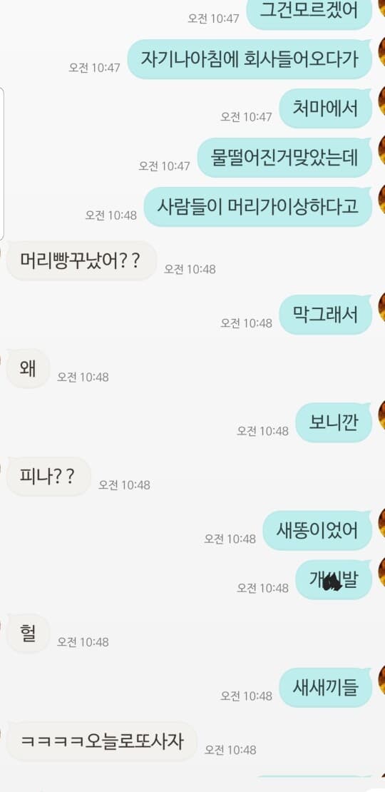 한번에 와이프에게 허락받기 성공 게시글 썸네일