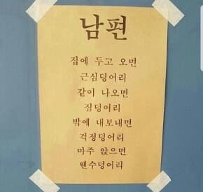 (비차량)여자들이 보는 남편이란? 게시글 썸네일