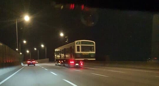 이런거 보셨나요 게시글 썸네일