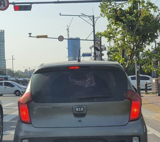 조수석에 나무 싣고가는 모닝~ 게시글 썸네일