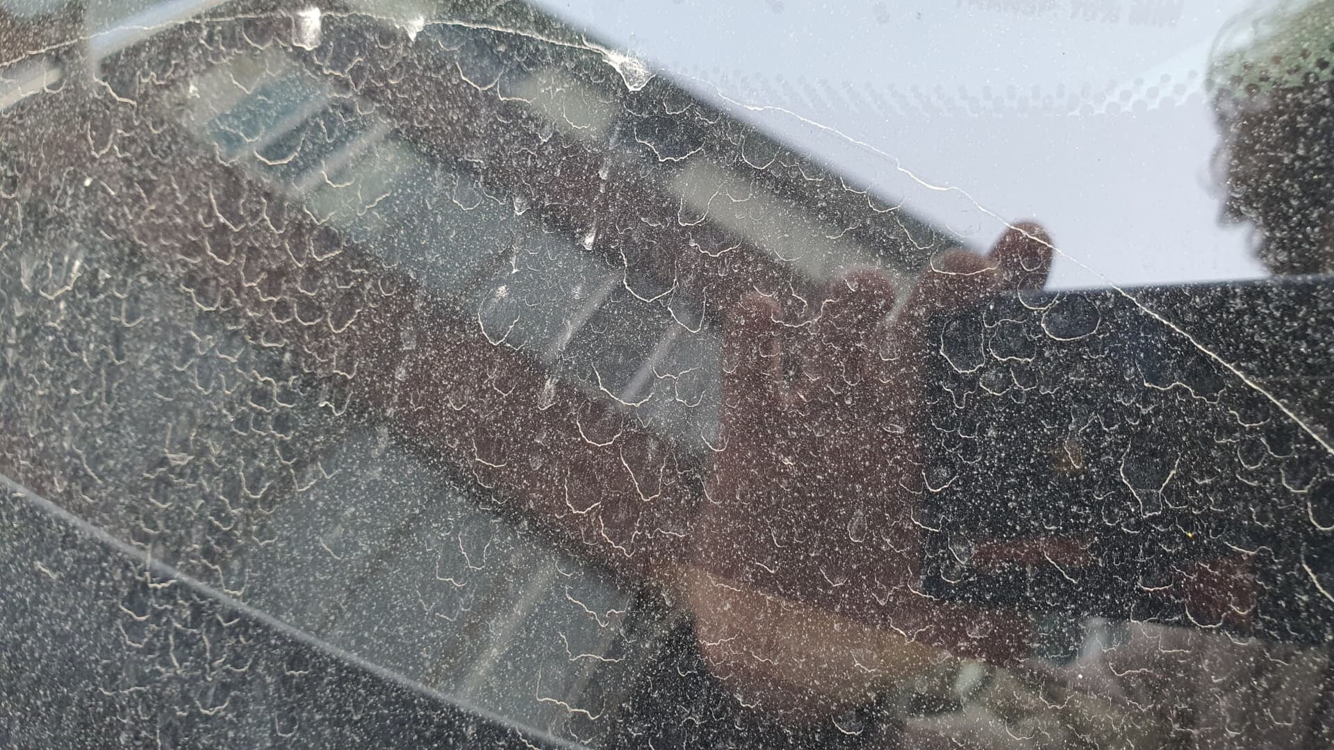 세차뒤 눈&비 콤보보다 더 싫은거..? 새똥어택추가 게시글 썸네일