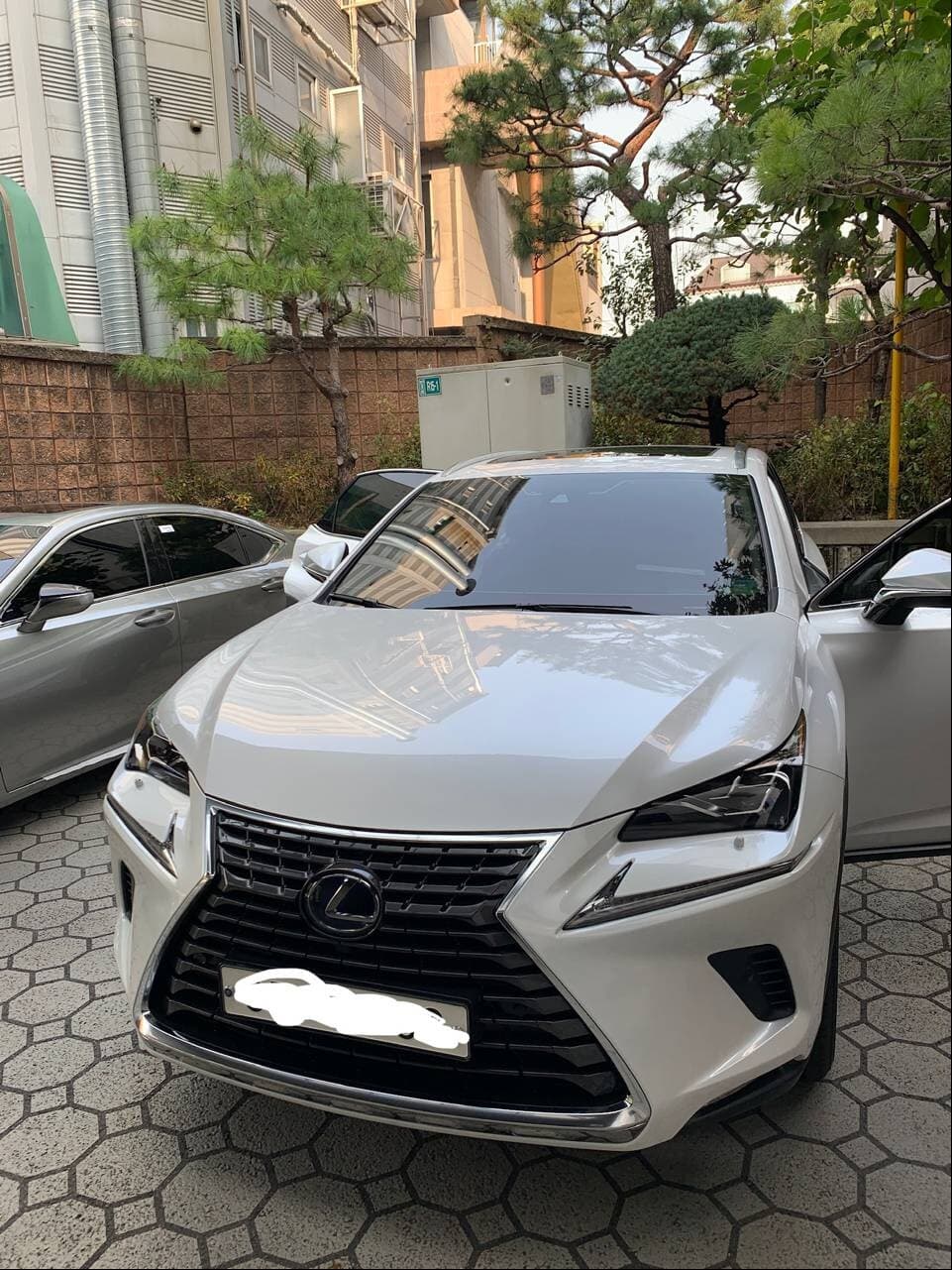 렉서스 NX 300h 슈프림 게시글 썸네일