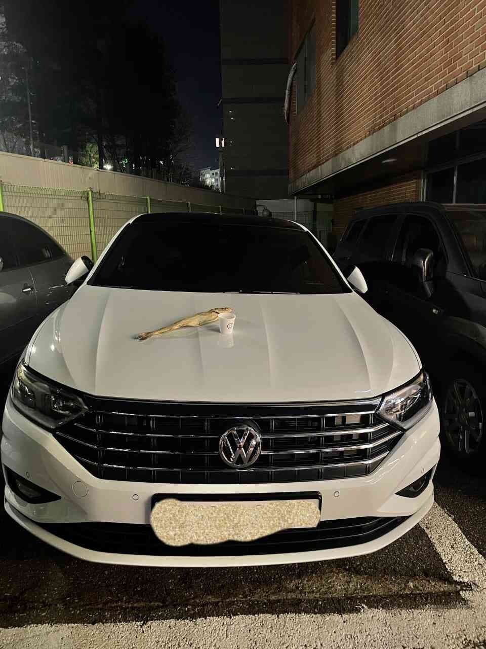 폭스바겐 제타 프레스티지 게시글 썸네일