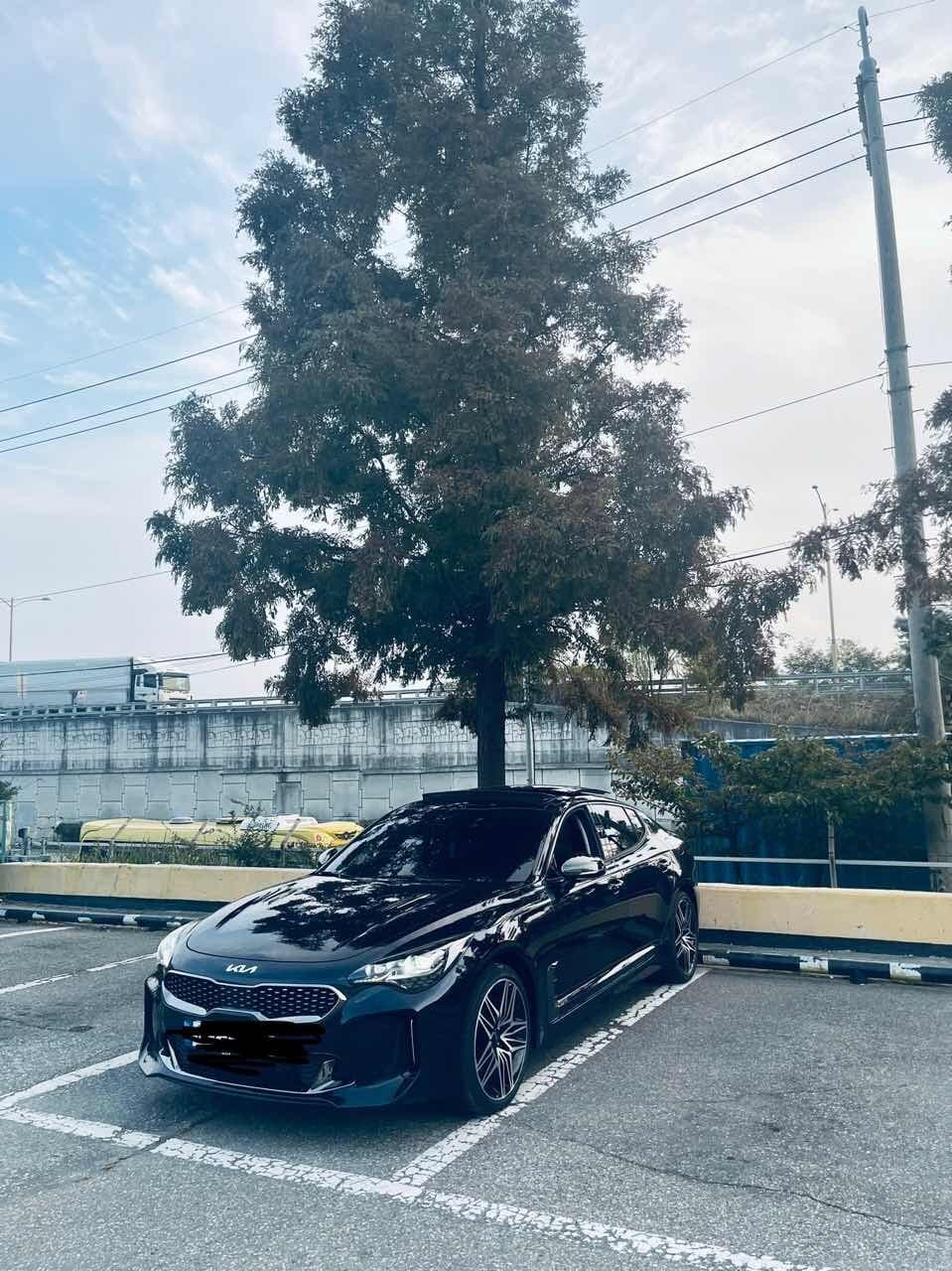 기아 스팅어 2.5 가솔린 터보 마스터즈 2WD 게시글 썸네일