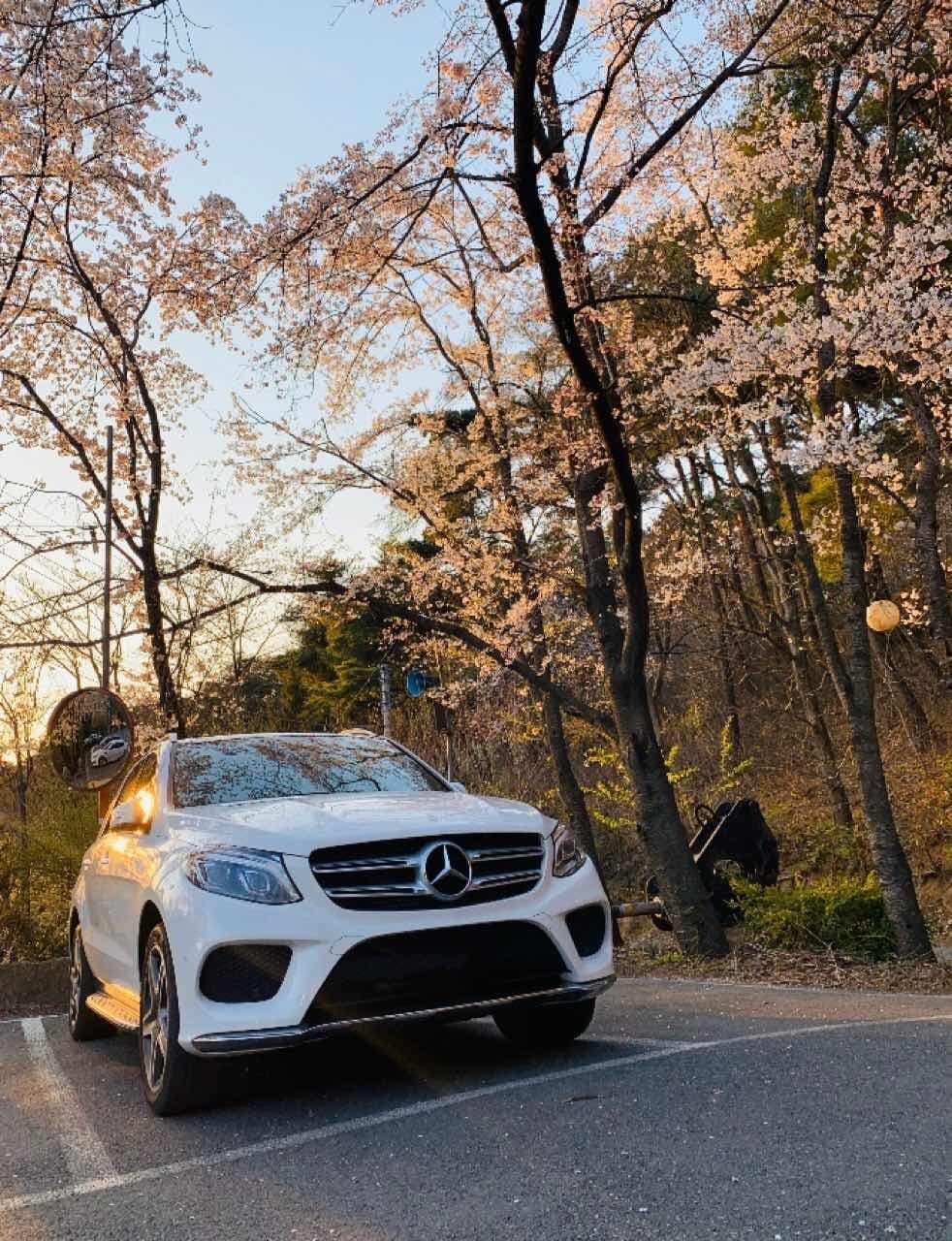 벤츠 GLE-클래스 GLE 350d 4Matic 게시글 썸네일