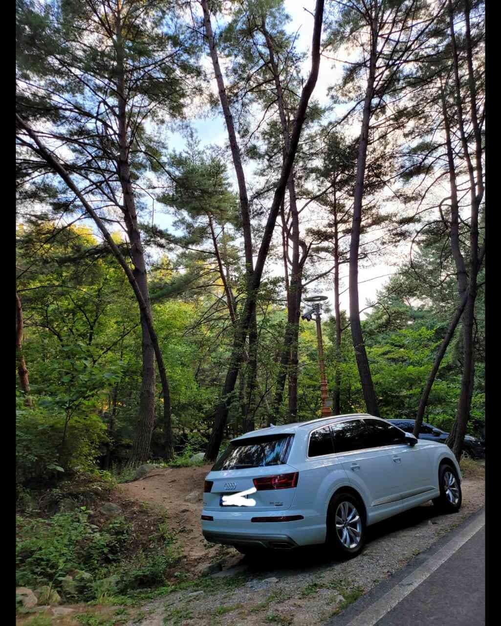 아우디 Q7 45 TFSI 콰트로 게시글 썸네일