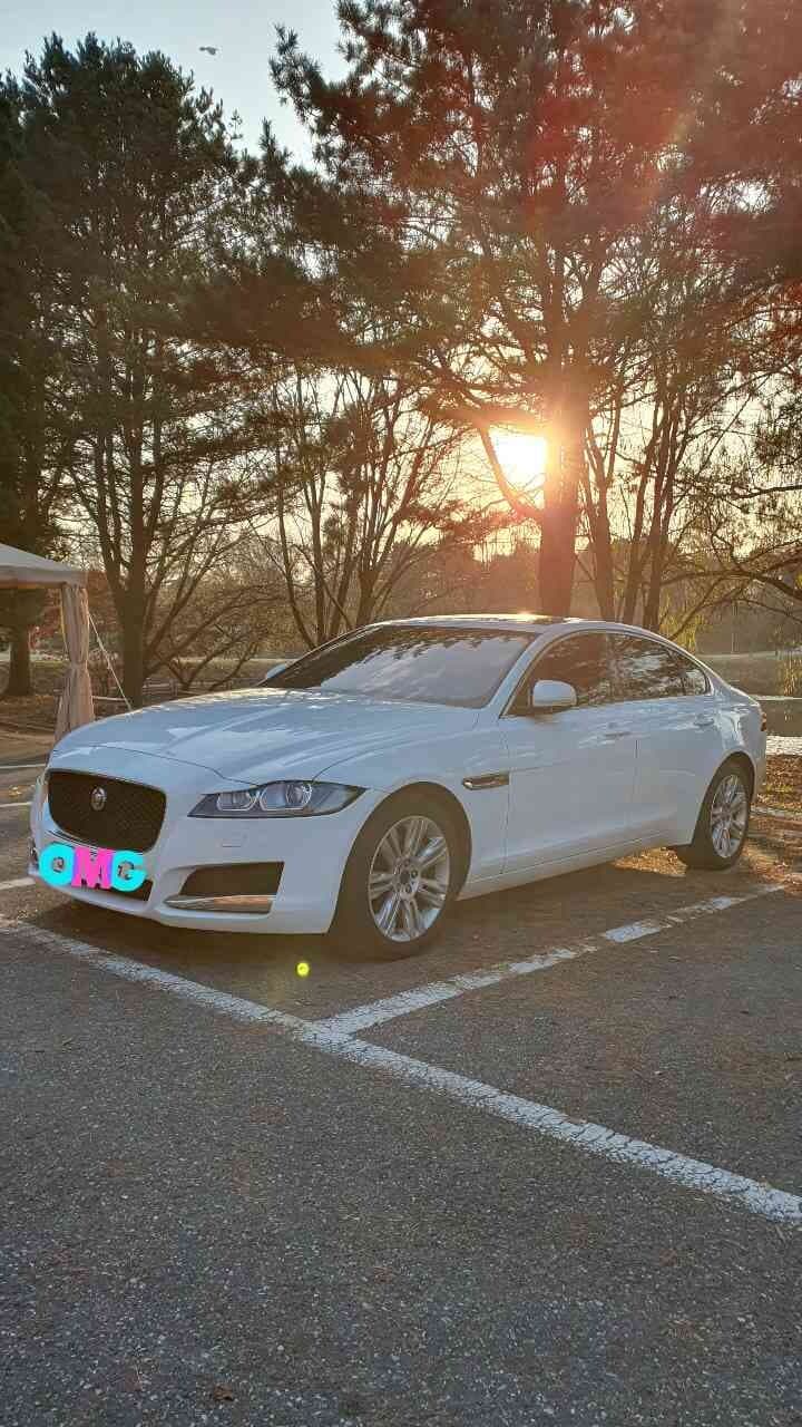 재규어 XF 2.0D 프레스티지 AWD 게시글 썸네일