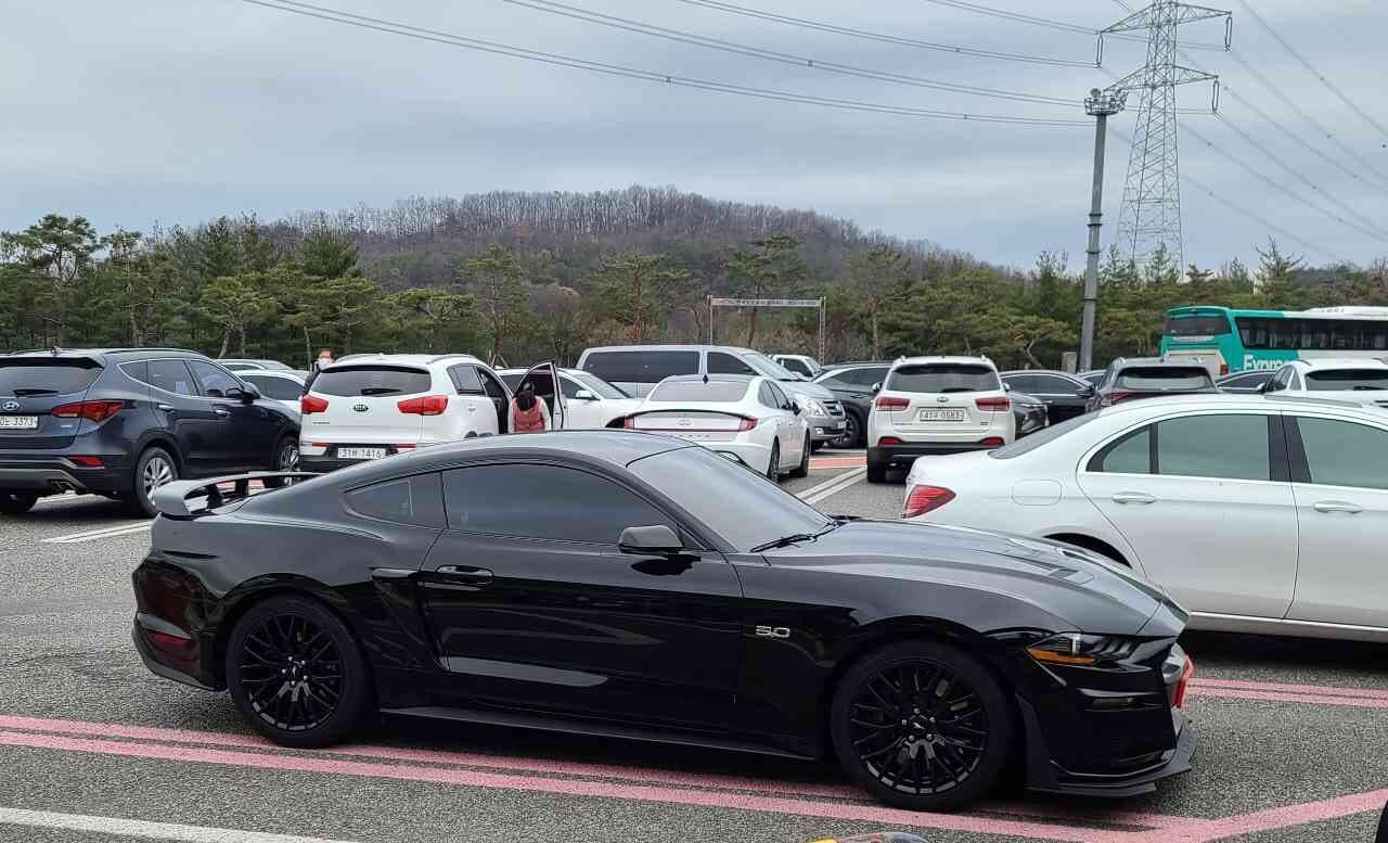 포드 머스탱 쿠페 5.0L GT 프리미엄 게시글 썸네일