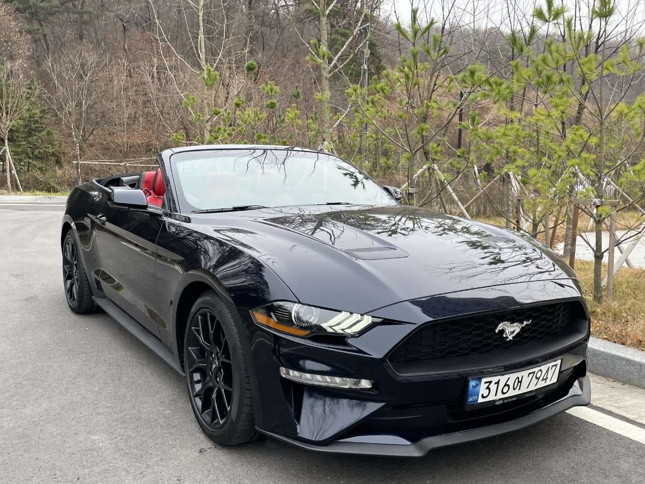 포드 머스탱 2.3 에코부스트 프리미엄 컨버터블 게시글 썸네일