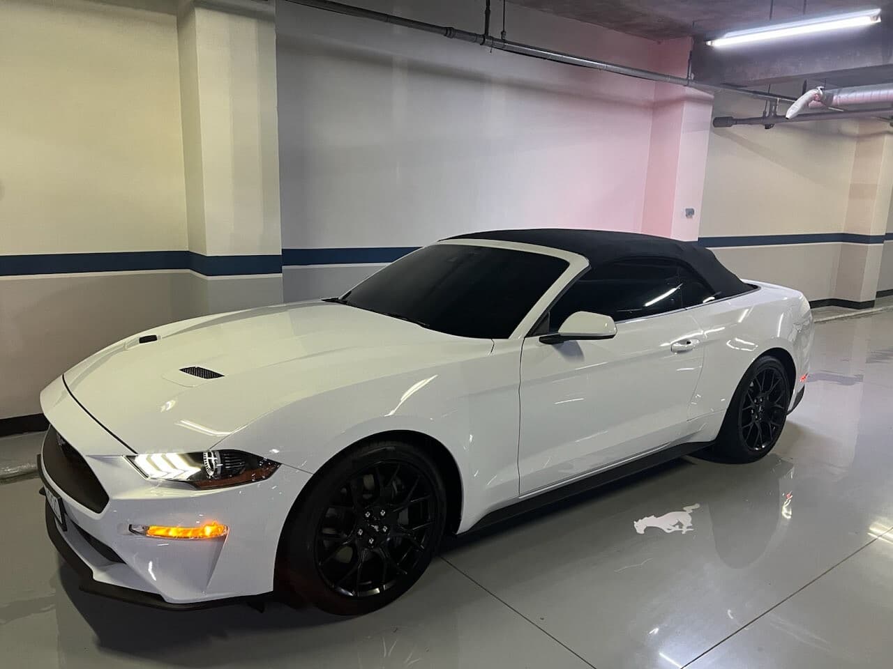 포드 머스탱 2.3 에코부스트 프리미엄 컨버터블 게시글 썸네일