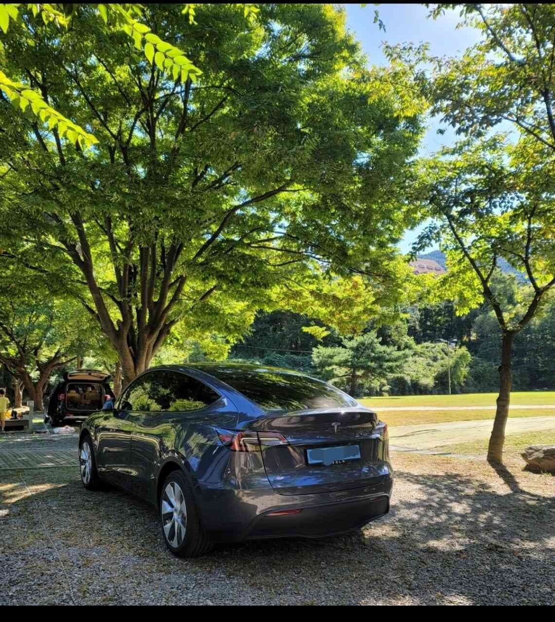 테슬라 모델 Y 스탠다드 레인지 게시글 썸네일